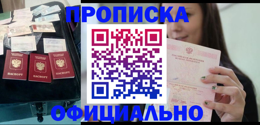 прописка законно в Михайловке